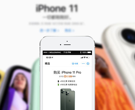 Apple直送旗艦店-支付寶電商小程序-一網(wǎng)天行項(xiàng)目案例